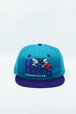 Vintage Charlotte Hornets by G CAP New Without Tag