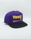 Vintage Minnesota Vikings - Twins Enterprise New With Tag