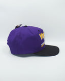 Vintage Minnesota Vikings - Twins Enterprise New With Tag
