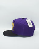 Vintage Minnesota Vikings - Twins Enterprise New With Tag