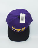 Vintage Minnesota Vikings - Twins Enterprise New With Tag