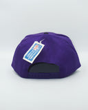Vintage Minnesota Vikings - Twins Enterprise New With Tag