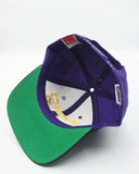 Vintage Minnesota Vikings - Twins Enterprise New With Tag