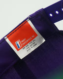 Vintage Minnesota Vikings - Twins Enterprise New With Tag