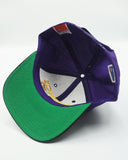 Vintage Minnesota Vikings - Twins Enterprise New With Tag