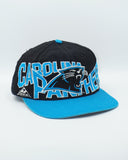 Vintage Carolina Panthers Apex One Wrap Around - WOOL