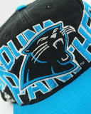 Vintage Carolina Panthers Apex One Wrap Around - WOOL