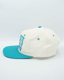 Vintage Charlotte Hornets by Signature AJD - New Without Tag WOOL