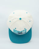 Vintage Charlotte Hornets by Signature AJD - New Without Tag WOOL