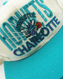 Vintage Charlotte Hornets by Signature AJD - New Without Tag WOOL