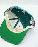 VINTAGE MIAMI DOLPHINS SPORTS SPECIALTIES Grid Cage - WOOL