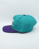 vintage charlotte hornets BarLine By Twins Enterprise New Without Tag