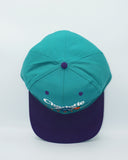 vintage charlotte hornets BarLine By Twins Enterprise New Without Tag