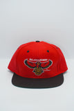 Vintage Atlanta Hawks Logo 7 New With Tags
