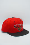 Vintage Atlanta Hawks Logo 7 New With Tags