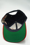 Vintage Minnesota Twins By Starter Tailsweep - WOOL