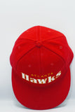 Vintage Atlanta Hawks Starter Spellout 100% Wool