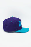 Vintage Charlotte Hornets by GCAP Youngan New Without Tag