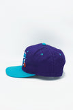 Vintage Charlotte Hornets by GCAP Youngan New Without Tag