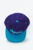 Vintage Charlotte Hornets by GCAP Youngan New Without Tag