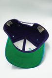 Vintage Charlotte Hornets by GCAP Youngan New Without Tag