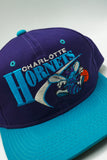 Vintage Charlotte Hornets by GCAP Youngan New Without Tag