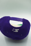 Vintage Minessota Vikings Starter Arch 1st-Gen 100% Wool Excellent WOOL