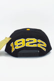 Vintage LSU Tigers American Needle Blockhead New With Tag WOOL