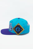 Vintage Charlotte Hornets G-Cap New With Tag