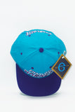 Vintage Charlotte Hornets G-Cap New With Tag