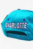 Vintage Charlotte Hornets G-Cap New With Tag