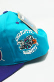 Vintage Charlotte Hornets G-Cap New With Tag