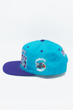 Vintage Charlotte Hornets G-Cap New Without Tag