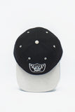 Vintage Los Angeles Raiders Twins Enterprise 2-Tone OG Logo New Without Tag