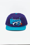 Vintage Charlotte Hornets by GCAP Youngan New Without Tag