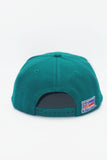 Vintage Miami Dolphins Logo Athletic Spike Pro Line WOOL
