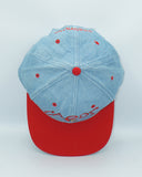 Vintage Louisville Cardinals Denim Snapback Hat By All Pro NCAA Sports