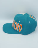 Vintage Miami Dolphins Starter Tripower Snapback Side MARINO Wool