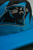 Vintage Carolina Panthers Logo Athletic Sharktooth Pro Line Excellent Condition WOOL