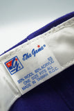 Vintage Pheonix Suns The Game Arch New With Tag WOOL