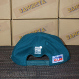 Vintage Philadelphia Eagles Sports Specialties Grid-Cage Style New Without Tag WOOL