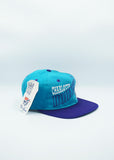 Vintage Charlotte Hornets by The Game Limited Edition New With Tag