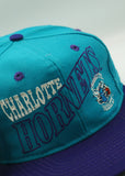 Vintage Charlotte Hornets by The Game Limited Edition New With Tag