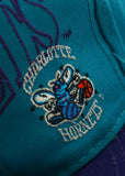 Vintage Charlotte Hornets by The Game Limited Edition New With Tag