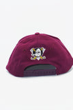 Vintage Mighty Ducks Sports Specialties Sports Specialties Oval New Without Tag WOOL