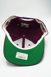 Vintage Mighty Ducks Sports Specialties Sports Specialties Oval New Without Tag WOOL