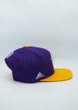Vintage Minnesota Vikings Apex One Side Script Purple New Without Tag WOOL