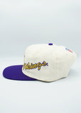 Vintage Minnesota Vikings Apex One Side Script New Without Tag WOOL