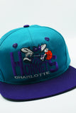 Vintage Charlotte Hornets by G CAP New Without Tag
