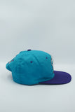 Vintage Charlotte Hornets by Competitor New Without Tag